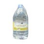 agua san joaquin pet 5 l 2 und